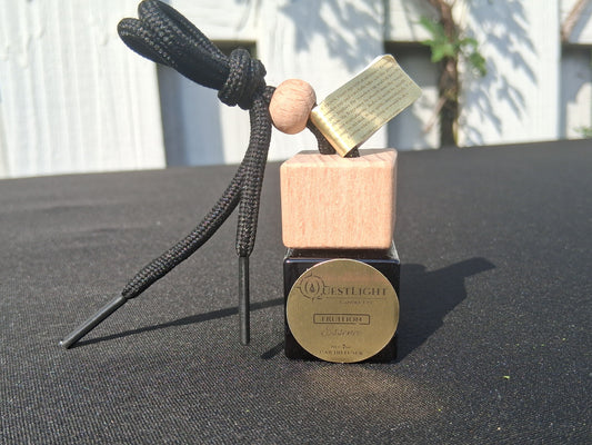 Fruition Car Diffuser